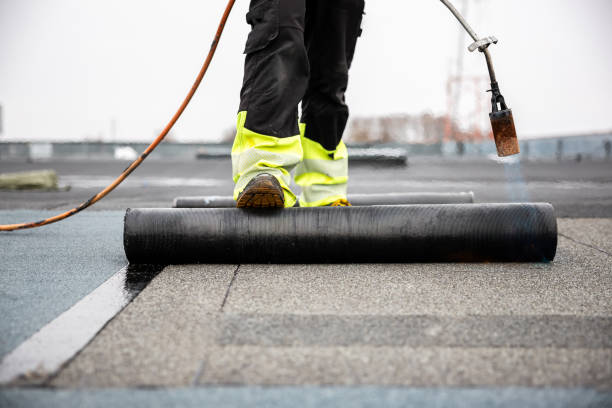 Roof Moss and Algae Removal in Corcoran, MN